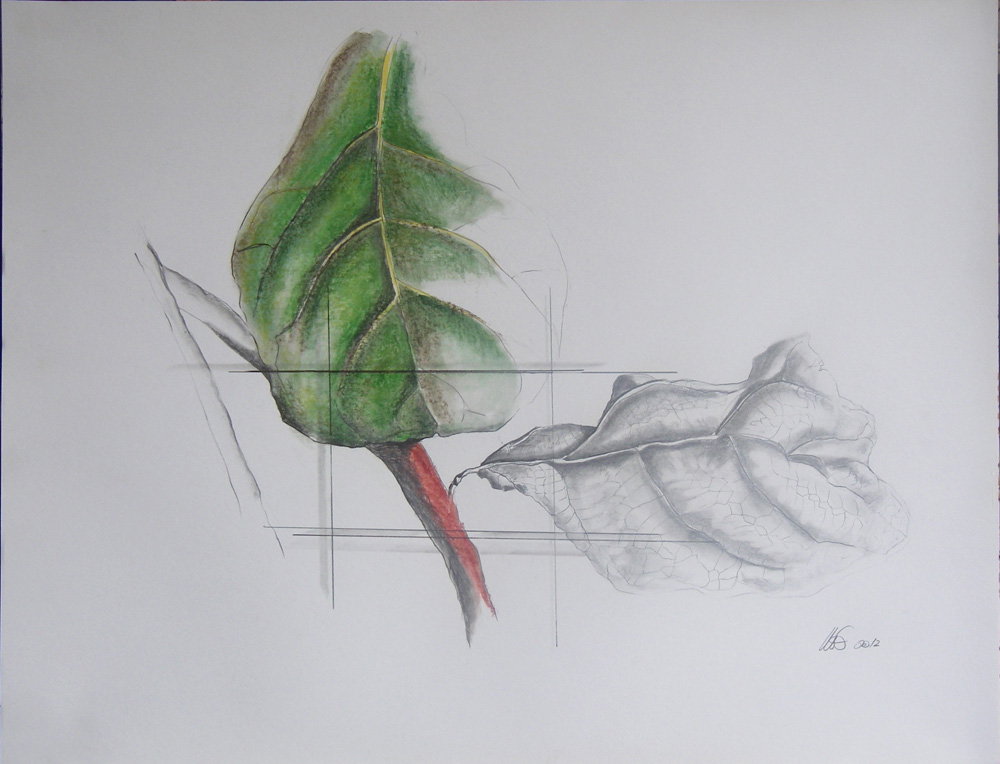 Paintings / Peinture - Ficus Fiddle-leafed Fig Tree