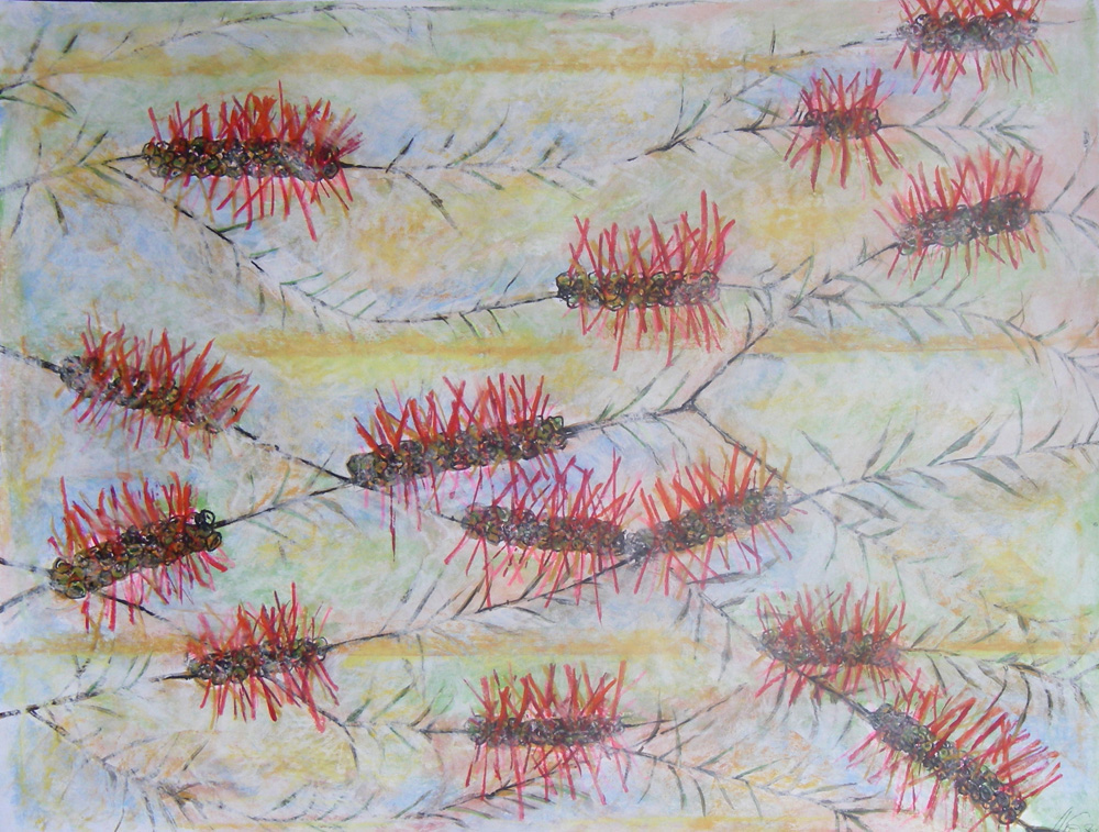 Calist�mon Bottle Brush