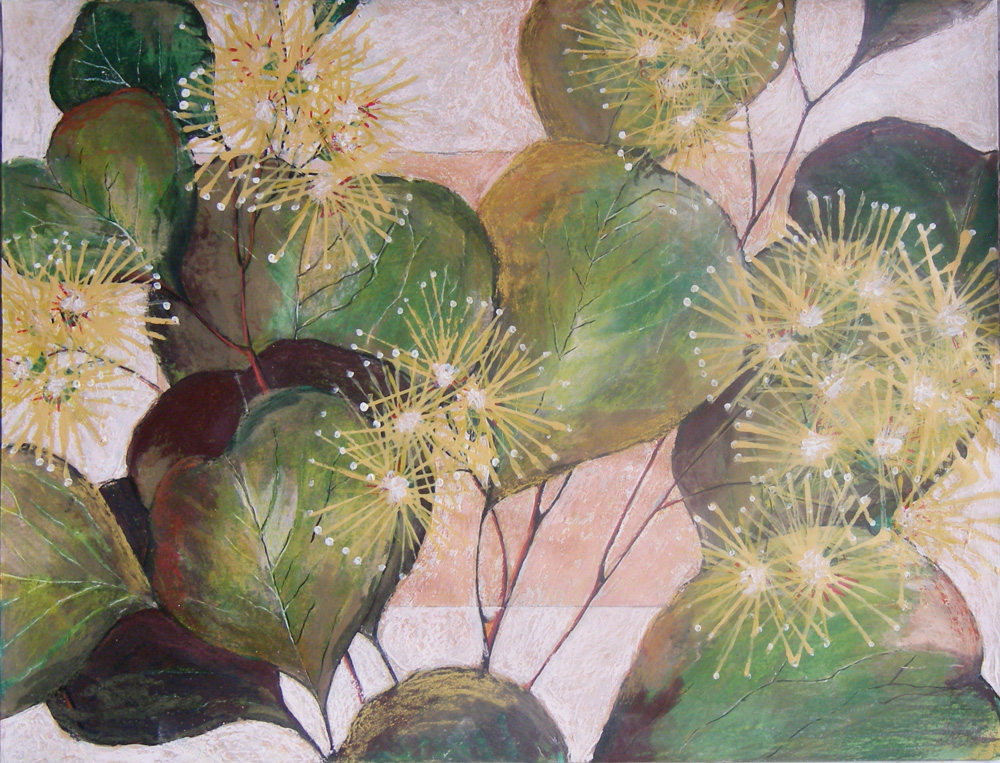 Paintings / Peinture - Eucalyptus platypus
